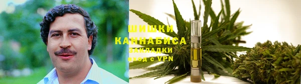 метадон Алексин
