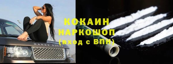 ГАЛЛЮЦИНОГЕННЫЕ ГРИБЫ Покровск