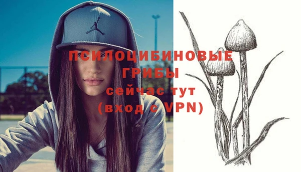 соль курить ск Алзамай