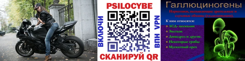Псилоцибиновые грибы Magic Shrooms наркошоп Жуков
