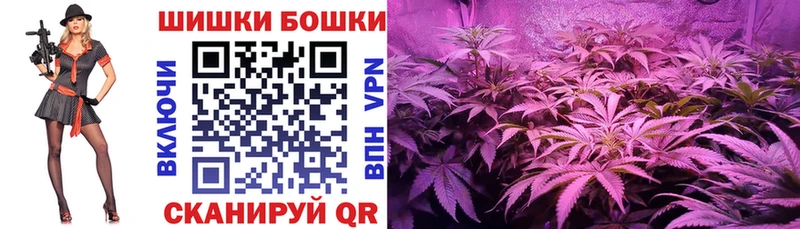 Шишки марихуана сатива  наркошоп  Жуков 